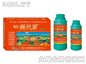 �V�V�͠I�B(y��ng)���a�{�턩-�Ƶ�