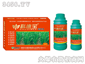 �²ˌ��àI�B(y��ng)���a�{�턩-�Ƶ�