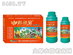 �в�ˎ���àI�B(y��ng)���a�{�턩-�Ƶ�