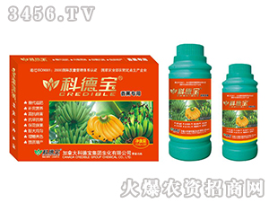 �㽶���àI�B(y��ng)���a�{�턩-�Ƶ�