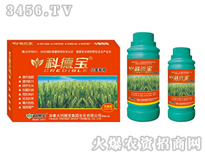 С�����àI�B(y��ng)���a�{�턩-�Ƶ�