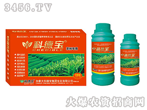 ��䌣�àI�B(y��ng)���a�{�턩-�Ƶ�