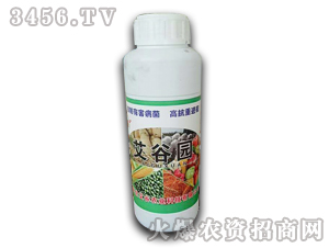 ���Ȉ@-�����r(n��ng)�I(y��)