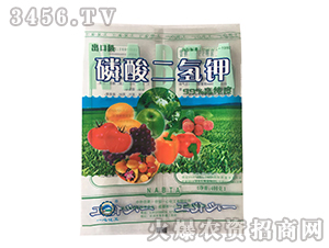 �������������~���-һ�Ļ���