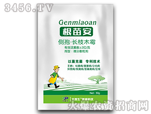 ��(c��)�ߡ��L(zh��ng)֦ľù΢��ɢ����-���簲-������