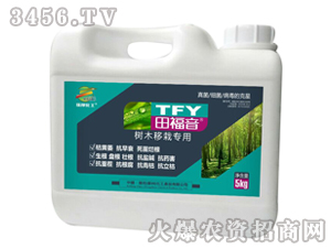 ��ľ���Ԍ��Û_ʩ��-�︣��-�������