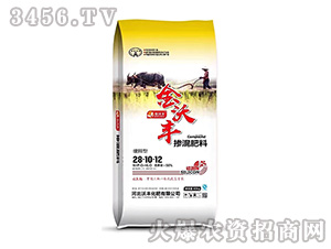 ����͓������28-10-12-�����S