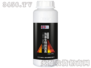 ��������̼��أ�ƿ��-Ӣ����