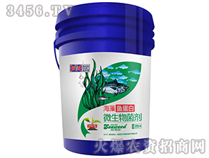 �o(h��)�~��΢�������-�����~����-Ӣ����