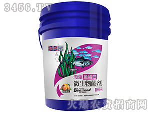 �����΢�������-�����~����-Ӣ����