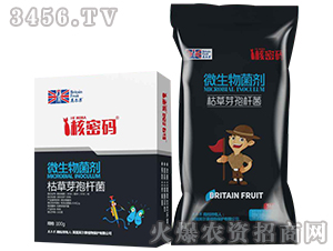 ΢�������-���ܴa-Ӣ����