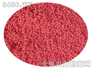 �������С�w�����t��-���r(n��ng)�ʘI(y��)