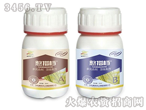 ����n-����