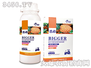 ���}���ø߷��ӏͺ����ЙC����Һ��-�̸�-�ɭ