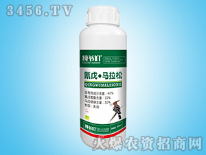 40%���졤�R��������-������-ꖹⴺ��