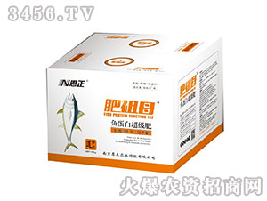 �~(y��)���׳���(j��)��-����ĸ-�����r(n��ng)�I(y��)