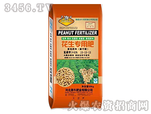 �������Ó������15-15-15-��ţ