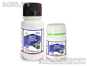 �׷�ʭ��Чˎ-���o(h��)�l(w��i)-����