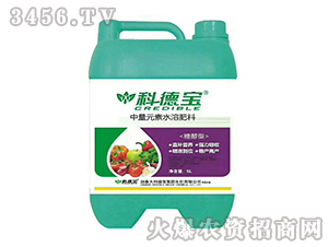 5L�Ǵ�������Ԫ��ˮ�ܷ���-�Ƶ�