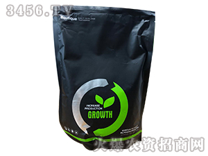 ֲ���{(di��o)��(ji��)��-�ο�ֲ��