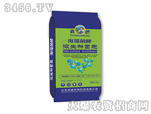 ΢�������-��(y��u)��-��΢����