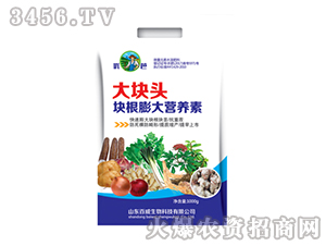 �K�����I�B(y��ng)��-��K�^-��(y��u)��