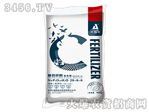 40kg���������͸����ͺϷ�28-6-6-�f�،�-��ʢ�ʘI(y��)