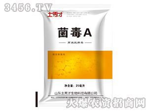 ����̼���-����A-�����