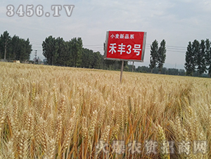 ���S3̖���壩