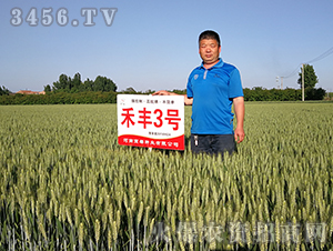 ���S3̖������