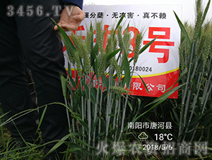 ���S3̖���ߣ�