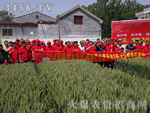 ���S3̖���ţ�