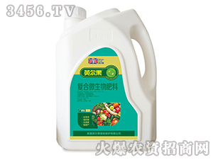 �V�V�͛_ʩ��-Ӣ����