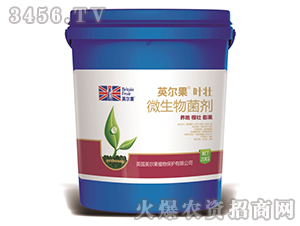 ΢�������-Ӣ�����~��-Ӣ����