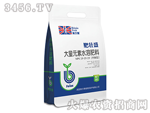 ƽ���ʹ���Ԫ��ˮ�ܷ���19-19-19-�ʉ�ʢ-Ӣ����