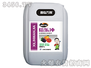 ������΢�������-����(l��)�_-������