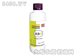 Һ�w�-Ӣ��(gu��)�W��ɭ