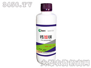 �}���V-��(li��n)�A-�W��ɭ