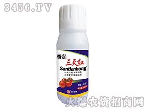 ��������t-���䌍(sh��)�I(y��)