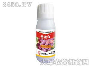 ��������t-���䌍(sh��)�I(y��)