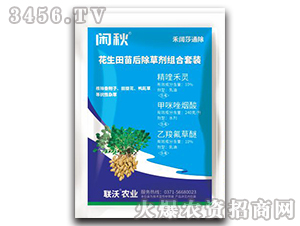 ��������݄��M�����b-�e��-(li��n)���r(n��ng)�I(y��)