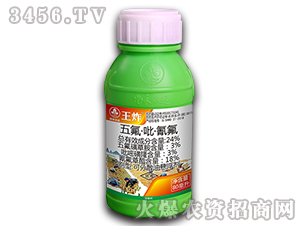 24%������������-��ը-�к����_(d��)