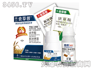 С������݄��M�����b-ʳ�ݫF-�к����_