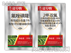 С������݄��M�����b-ȸ�ݑn-�к����_