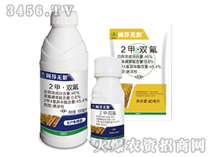 С������݄�-�ɯ�oӰ-�к����_