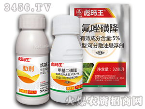 С������݄��M��-�묔��-�к����_(d��)