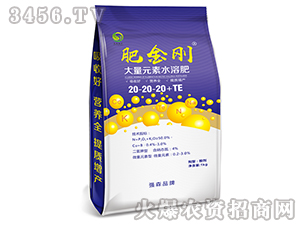 ����Ԫ��ˮ�ܷ�20-20-20+TE-�ʽ���-��(qi��ng)ɭ�r(n��ng)��