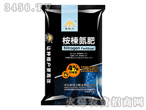 ��鬵���-����