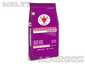 ������ֲ��I(y��ng)�B(y��ng)��-����ţ-��ķɳ