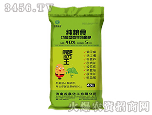 ���Zʳ������΢�������-��Ȫ����